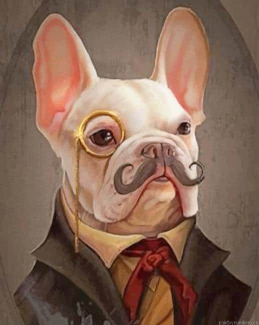 Classy Bulldog Animals Painting By Numberss.png