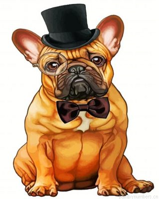 Classy Bulldog Painting By Numbers.png