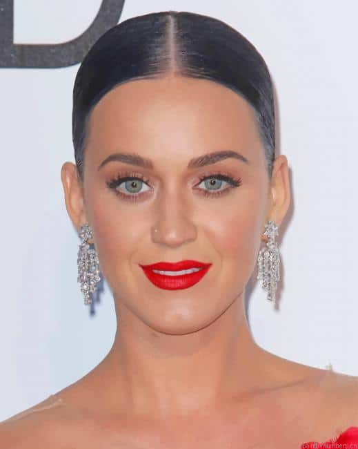 Classy Katy Perry Singers Painting By Numberss.png