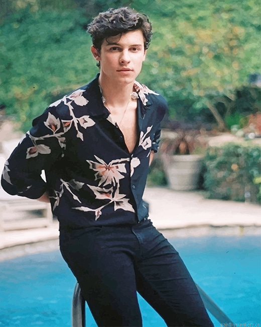 Classy Shawn Mendes Singers Painting By Numberss.png