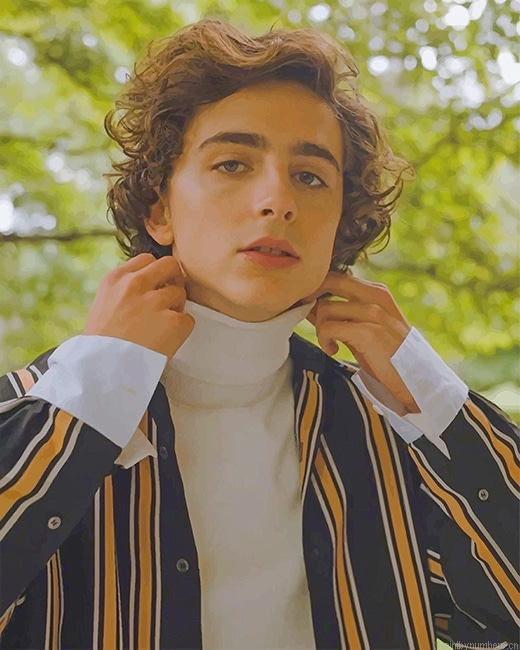 Classy Timothee Chalamet Actors Painting By Numberss.png