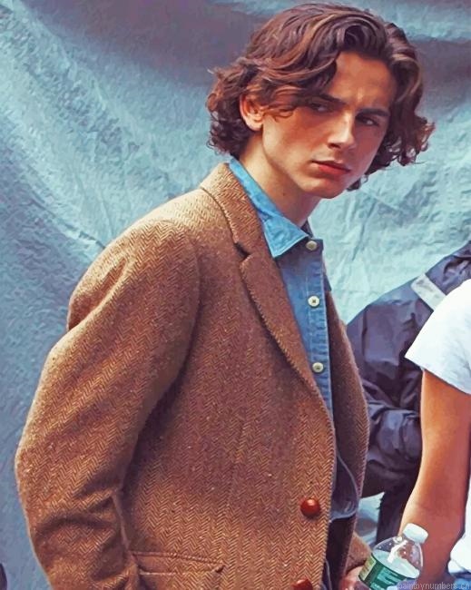Classy Timothee Chalamet Actors Painting By Numberss.png