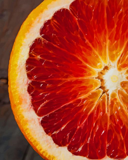 Close Up Orange Fruits Painting By Numbers.png