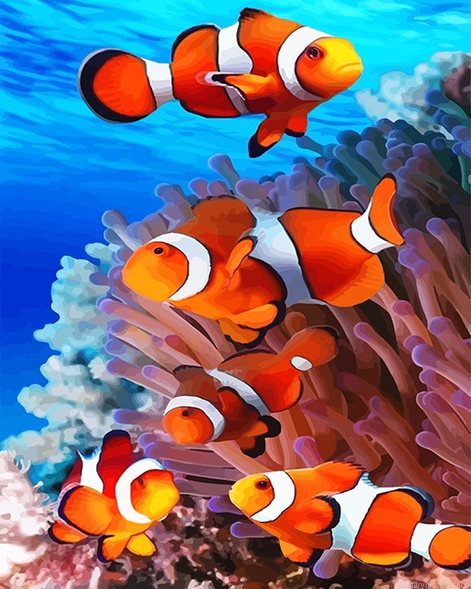 Clown Fishes Painting By Numberss.png