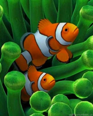 Clownfishes Painting By Numbers.png