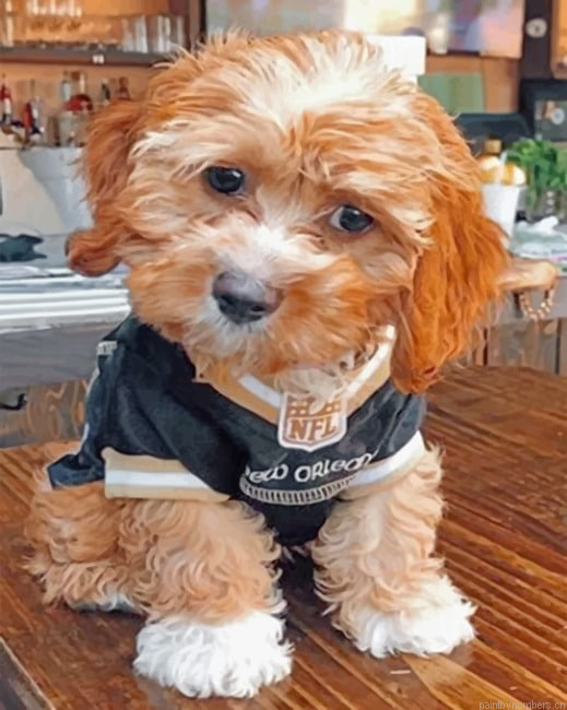Cockapoo Dog Painting By Numberss.png