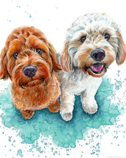 Cockapoo Dogs Painting By Numberss.png