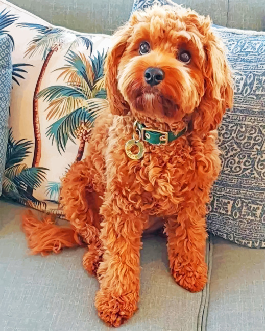 Cockapoo Puppy Painting By Numberss.png