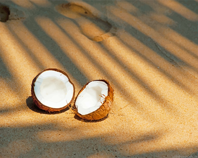 Coco Fruit Food Painting By Numberss.png