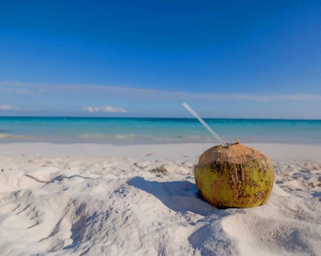 Coconut Drink On Beach Painting By Numberss.png