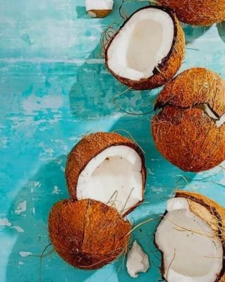 Coconut Fruit Food Painting By Numbers.png