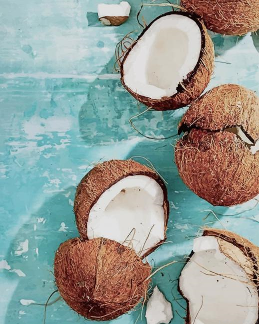 Coconut Fruit New Painting By Numbers.png