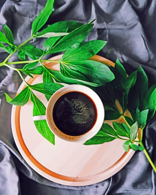 Coffee And Leaves Painting By Numberss.png