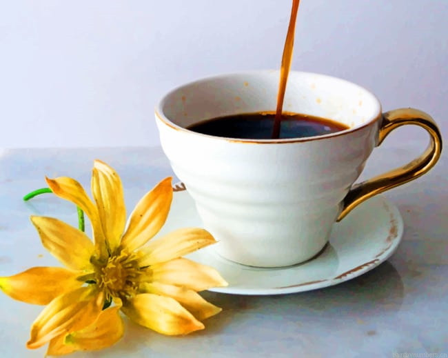 Coffee Cup With Flower Painting By Numberss.png
