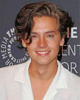 Cole Sprouse Painting By Numbers.png