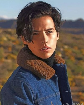 Cole Sprouse Photo Shoot Painting By Numbers.png