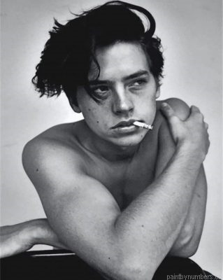 Cole Sprouse Smoking Painting By Numbers.png