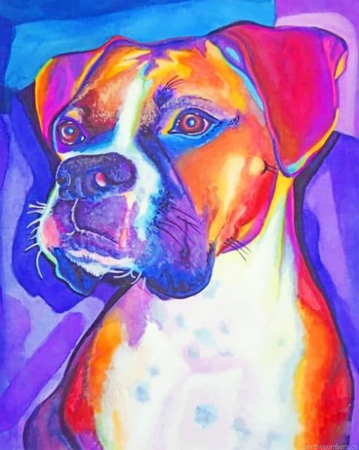 Colored Boxer Dog Painting By Numbers.png