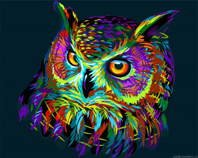 Colorful Abstract Owl Painting By Numberss.png
