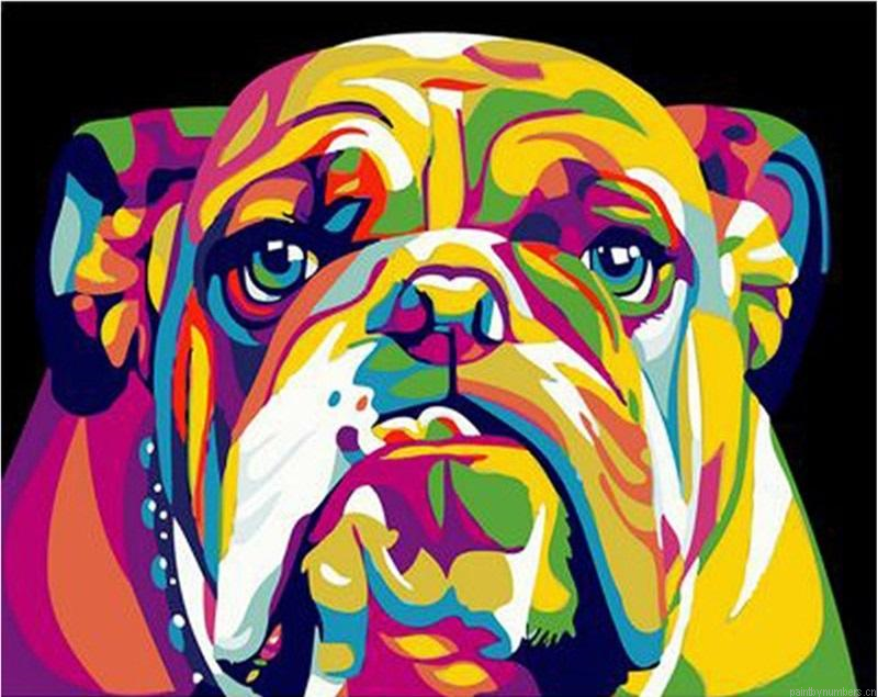 Colorful Bulldog Animals Painting By Numbers.png