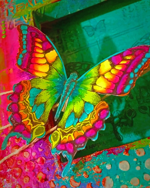 Colorful Butterfly Insect Painting By Numberss.png