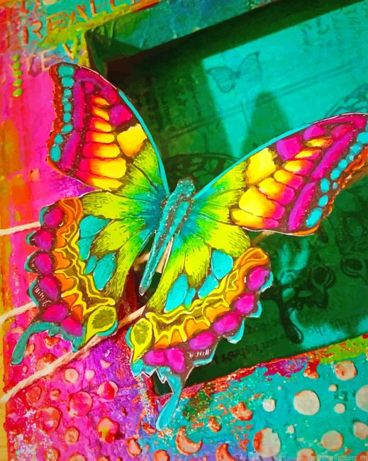 Colorful Butterfly Insects Painting By Numbers.png