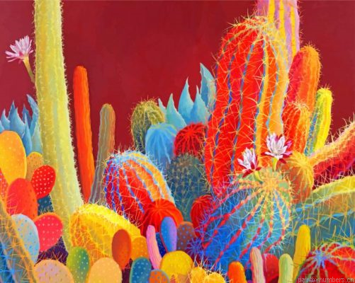 Colorful Cactus Painting By Numbers.png