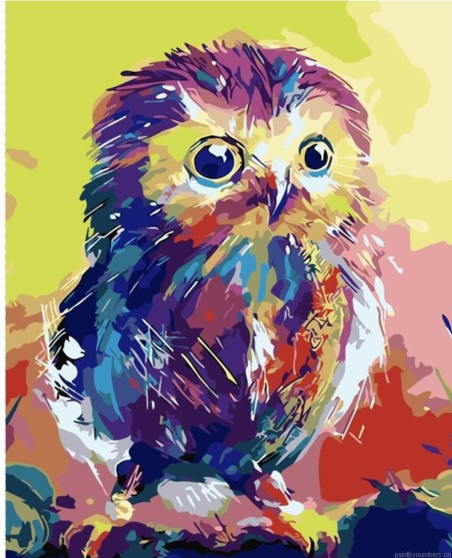 Colorful Chick Owl Birds Painting By Numbers.png