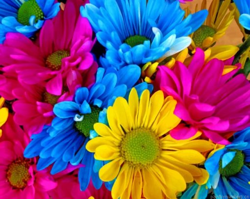 Colorful Daisies Painting By Numberss.png