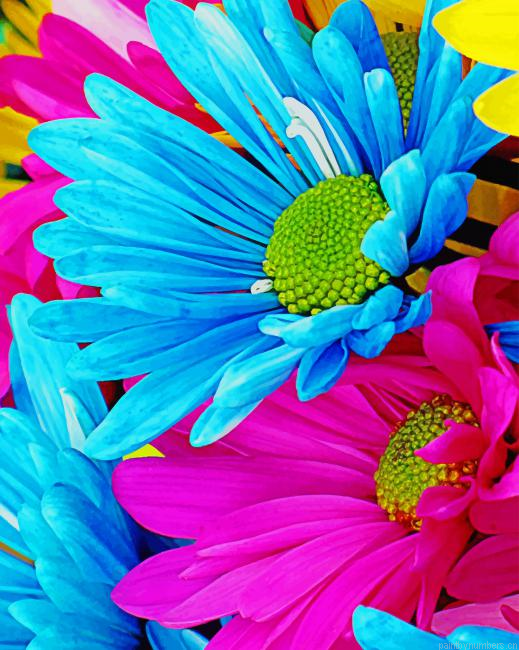 Colorful Daisy Painting By Numberss.png