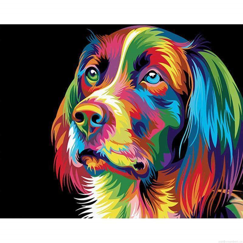 Colorful Dog Animals Painting By Numbers.png