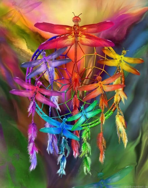 Colorful Dragonfly Painting By Numberss.png