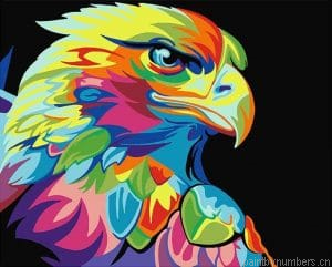 Colorful Eagle Birds Painting By Numbers.png