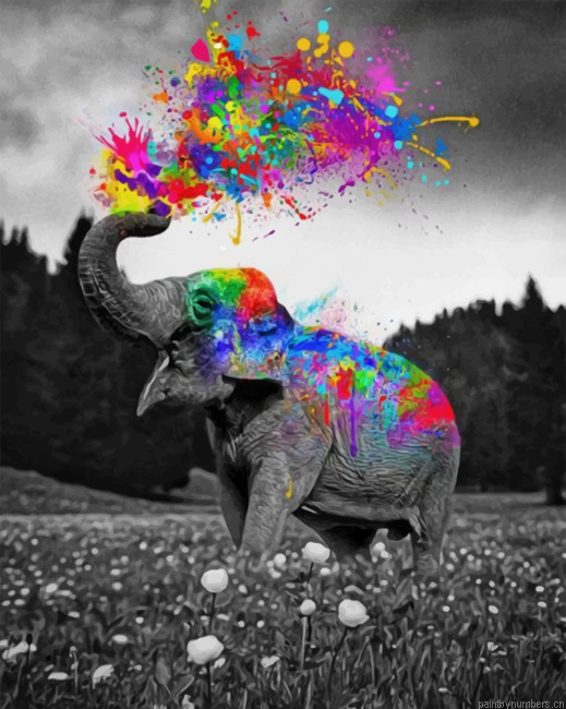 Colorful Elephant Painting By Numbers.png