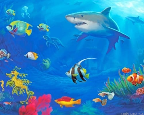 Colorful Fishes And Shark Painting By Numberss.png