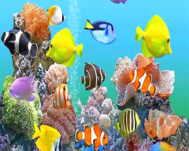 Colorful Fishes Deep Sea Painting By Numbers.png