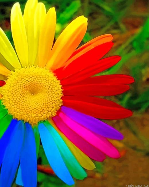 Colorful Flower Painting By Numberss.png