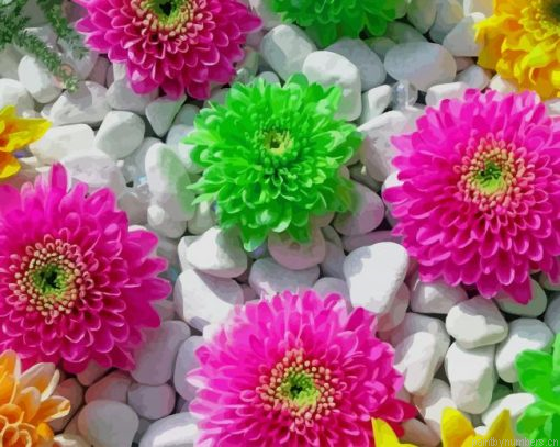 Colorful Flowers And Stones Painting By Numbers.png
