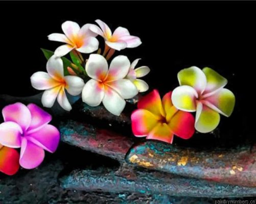 Colorful Frangipani Painting By Numbers.png
