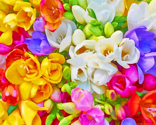 Colorful Freesias Painting By Numberss.png