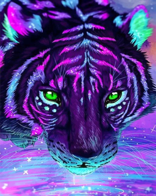 Colorful Galaxy Painting By Numberss.png
