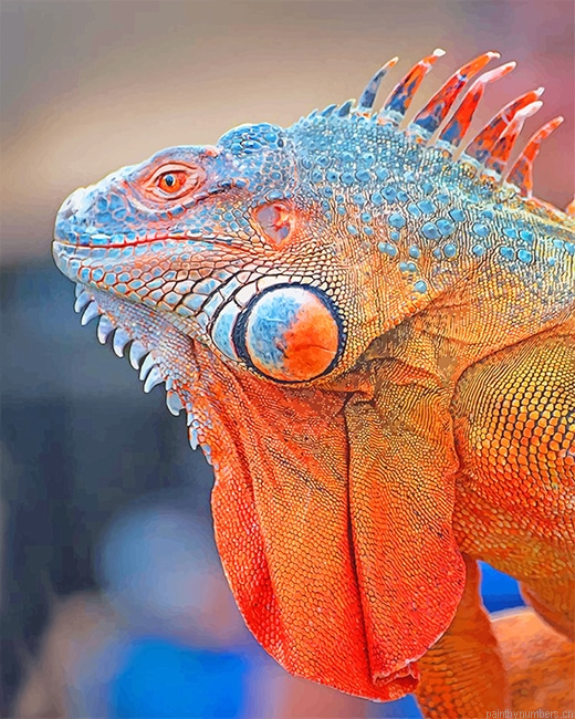 Colorful Iguana Reptiles Painting By Numberss.png