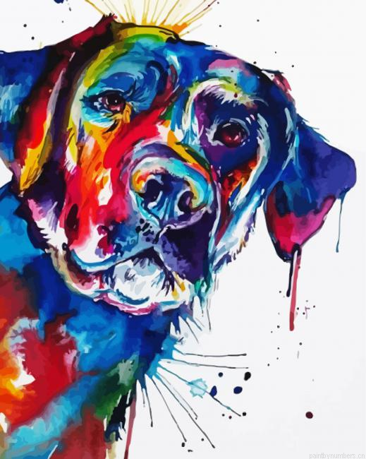 Colorful Labrador Dog Animal Painting By Numberss.png
