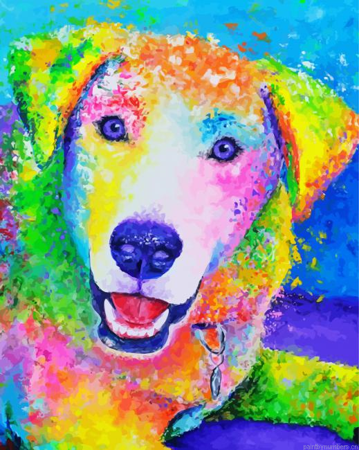 Colorful Labrador Dog Painting By Numberss.png