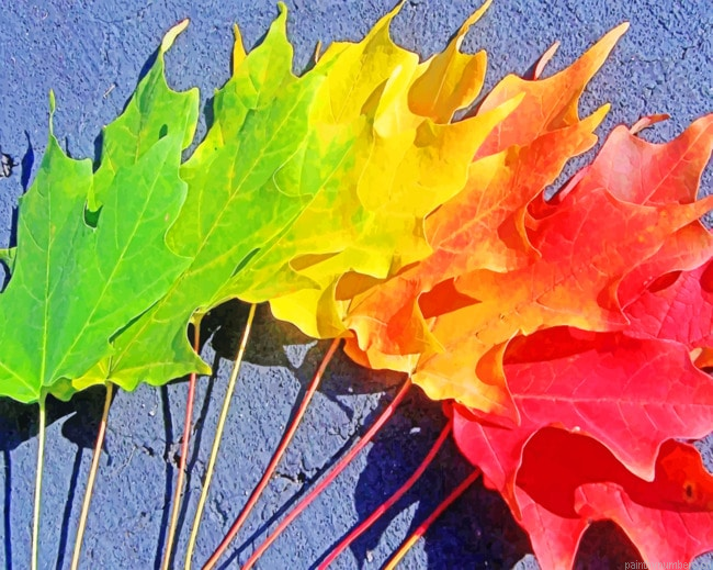 Colorful Leaves Plants Painting By Numberss.png