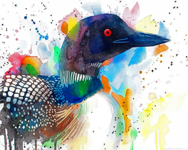 Colorful Loon Painting By Numbers.png