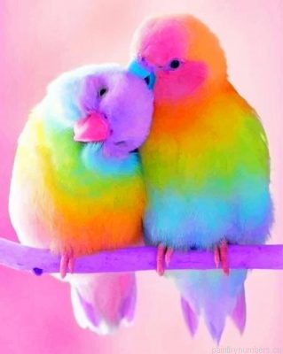 Colorful Love Bird Painting By Numbers.png