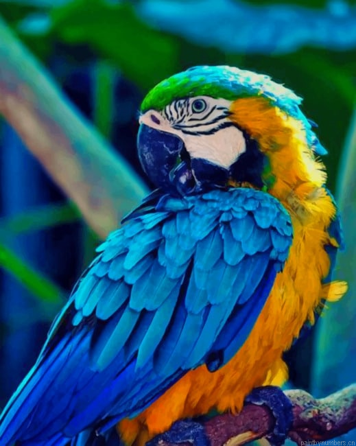Colorful Macaw Bird Painting By Numberss.png