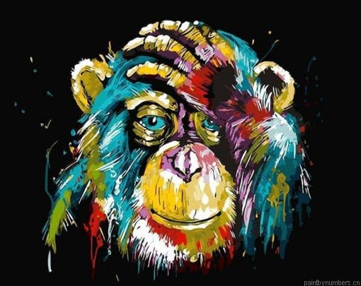 Colorful Monkey Animals Painting By Numbers.png