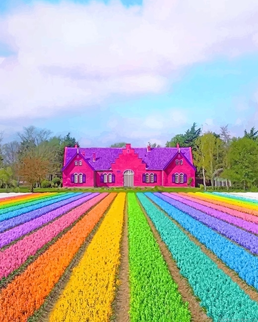 Colorful Nature Painting By Numbers.png